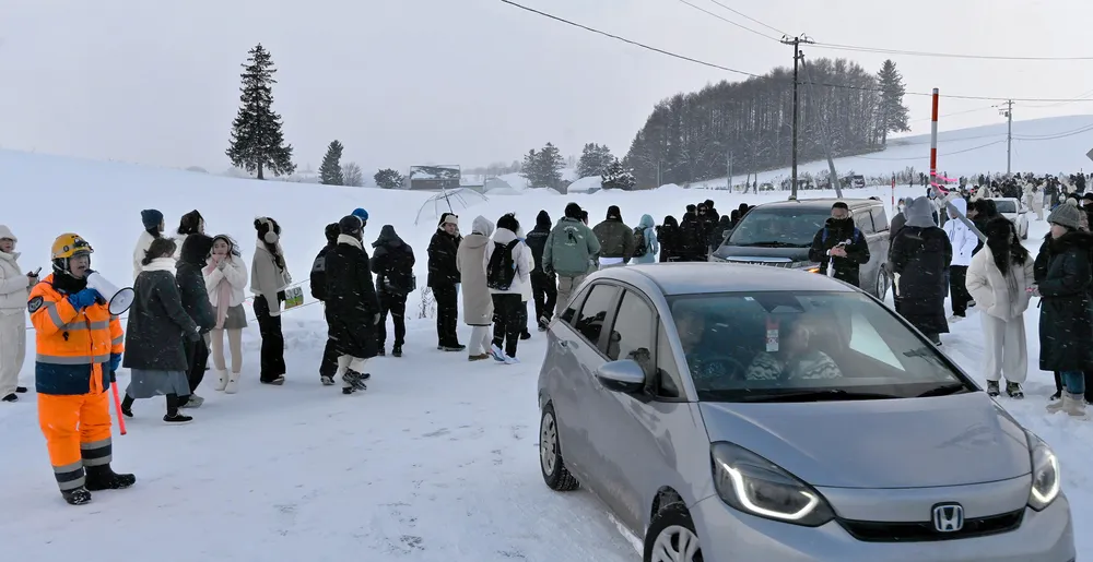 北海道の人気観光スポット1日ツアー 旭川動物園＆ネット有名人の美瑛の木＆シラスの滝＆フェアリーテラス をオンライン予約Klook