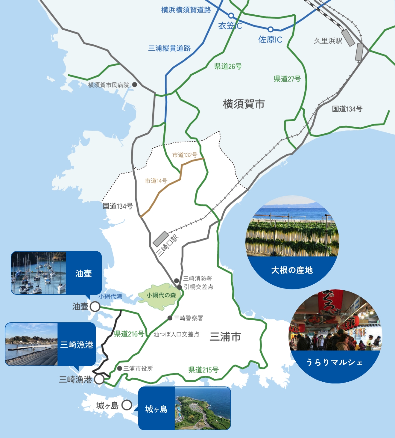 東海岸ドライブルート 三浦市