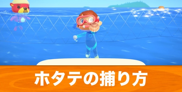 あつまれ どうぶつの森』ホタテを食べるラコスケや水槽を殴るシャコ─海開きには細か～い作り込みがいっぱい！インサイド