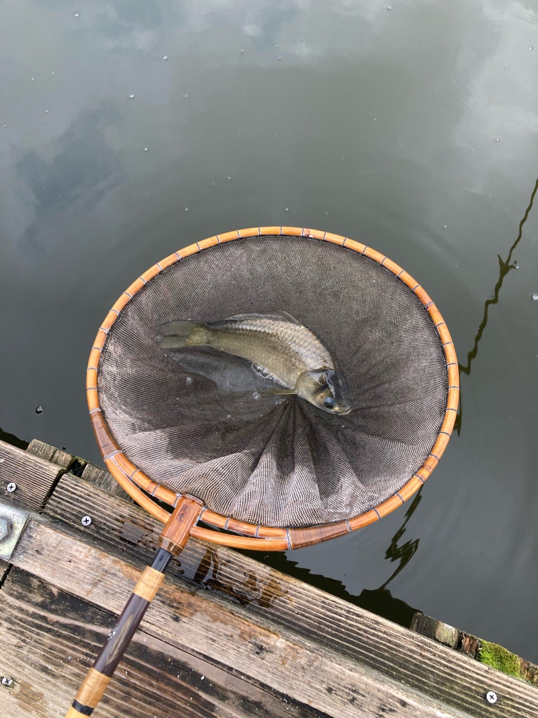 2025年 弥六沼 - 出発前に知っておくべきことすべて -