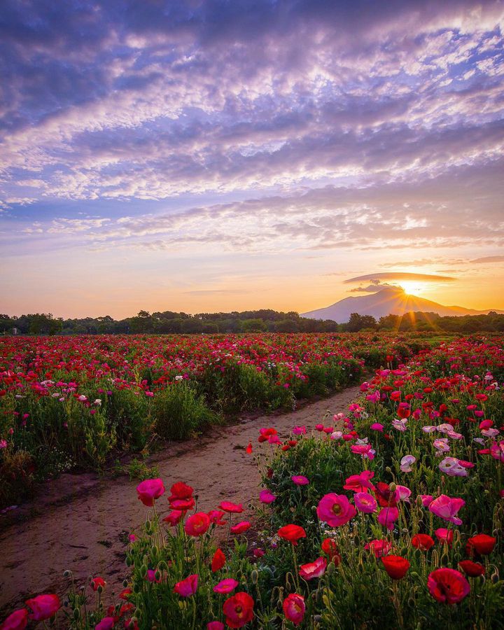 関東 手ぶらでバーベキュー 雨の日でもOK 子供の遊び場・お出かけスポットいこーよ