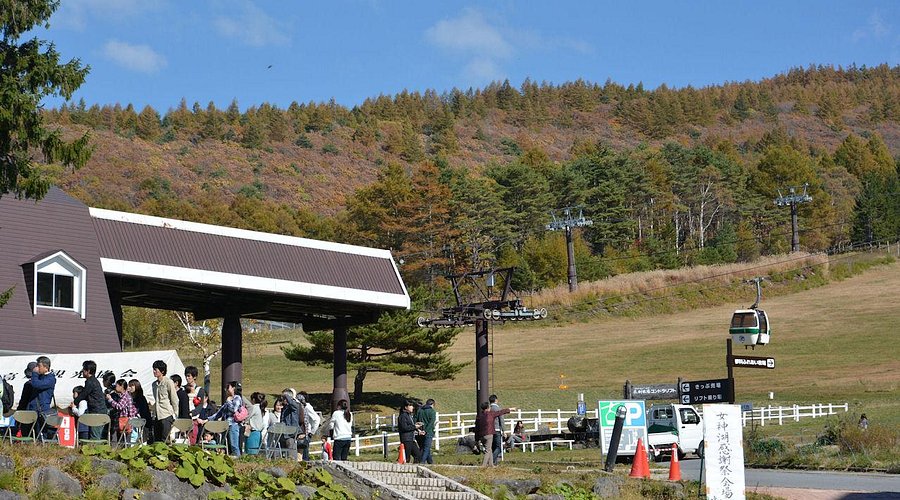 営業開始案内 , お待たせしてしまいました、蓼科牧場ゴンドラリフトですが只今より営業が開始となりました💦,是非とも白樺高原にお越しの際にはゴンドラリフトで御前水自然園や女神のテラス1830で涼しいお時間を過ごしていただければと思います。,今の自然園はシャクナゲが綺麗に咲いております✨, 鳥の囀りを聞きながら歩くことができますので気持ちよく散歩ができます！,