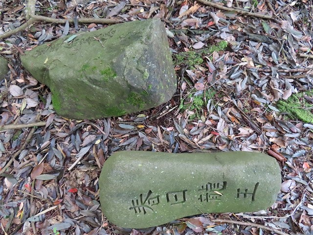 和泉市父鬼町、八坂神社_上野山_地蔵山_鐘山 東・西 _3級基準点