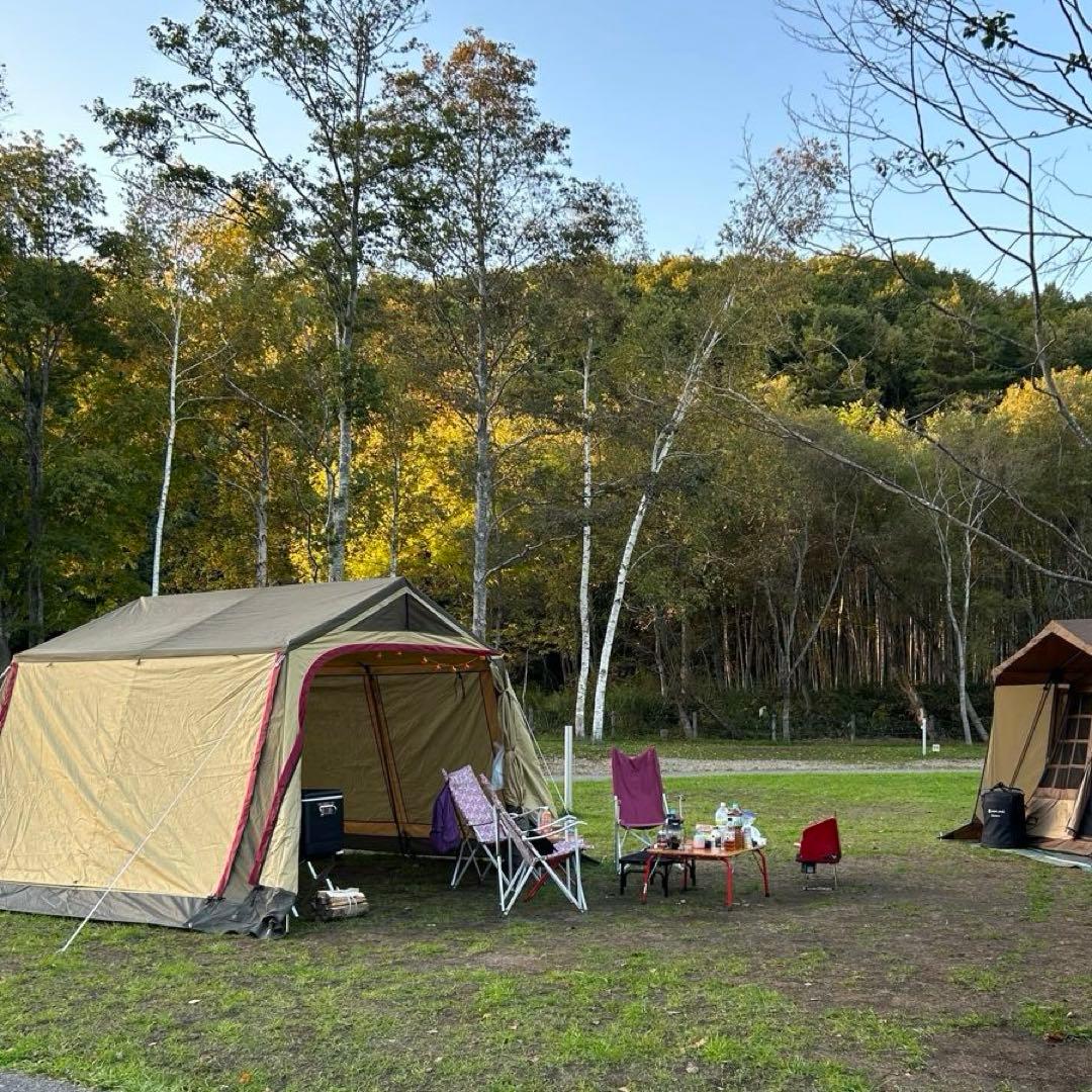 Amazon.co.jp: ogawa オガワテント リビングシェルターV 3379