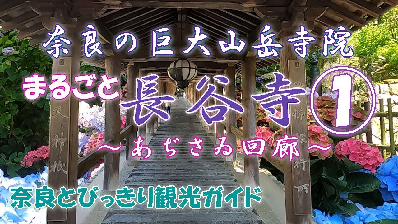 長谷寺編「第１話」奈良観光コンシェルジュが桜井市のお寺をご紹介：Hasedera-Temple in Sakurai CityNara