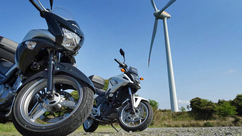 元乃隅神社のアクセス 渋滞回避できる？駐車場は？電車やバスは？fromFukuoka フロム福岡