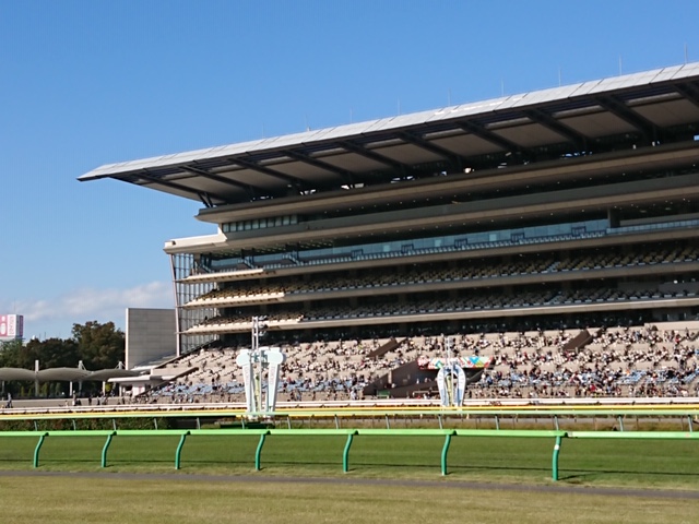 2025年 アイルランド競馬・主要レース開催日、日程 カラ競馬場ほか