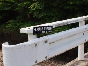 猿投山 2017年1月29日