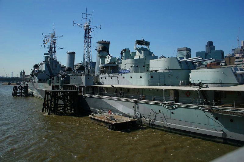 ザ・ウォリアー・ケルト ベルファスト KING