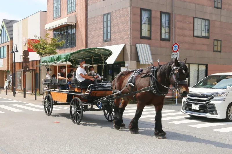 観光辻馬車 -九州大分 The Village 由布院