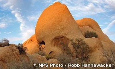 2025年ジョシュアツリー カリフォルニア州 人気のガイドツアー体験ゲットユアガイドGetYourGuide