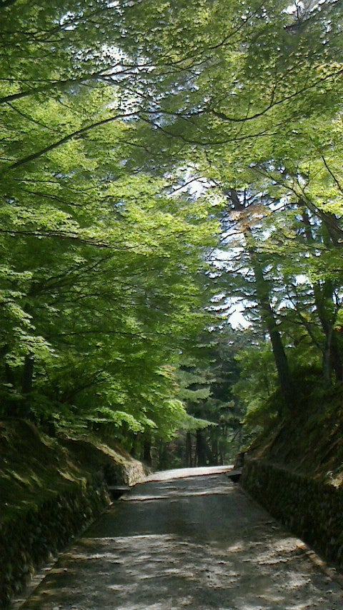 津城跡三重県津市のおすすめ観光・レジャースポット旅色