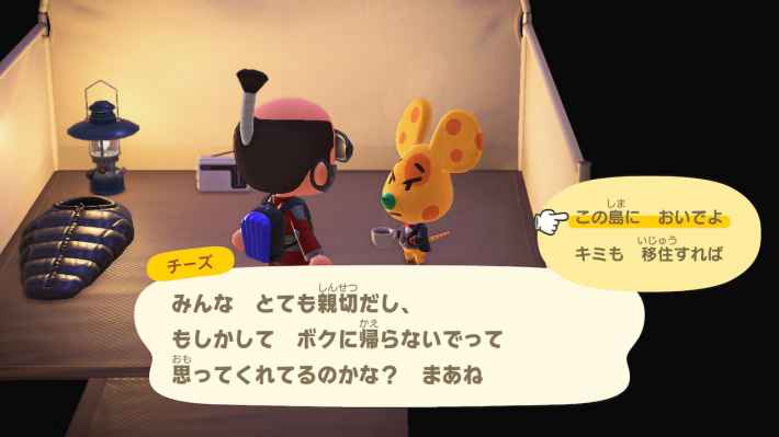 あつ森 キャンプサイト勧誘 厳選 のやり方と来ない時の対処法