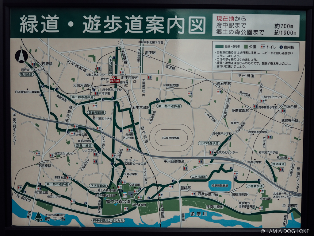 東京鉄道遺産８９ 国鉄東京競馬場線・下河原線跡 :