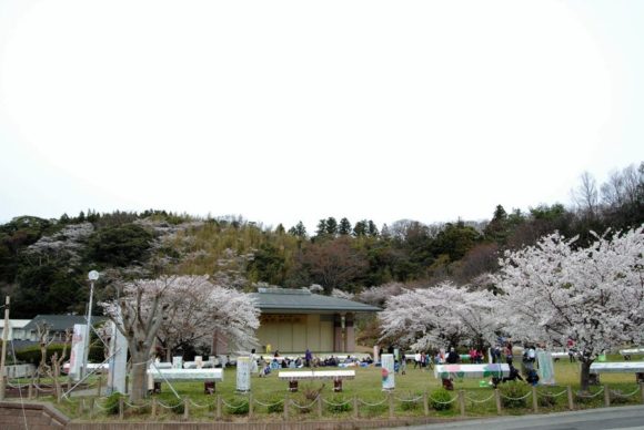 真野観光センター新潟の観光スポット 公式 新潟県のおすすめ観光・旅行情報！にいがた観光ナビ