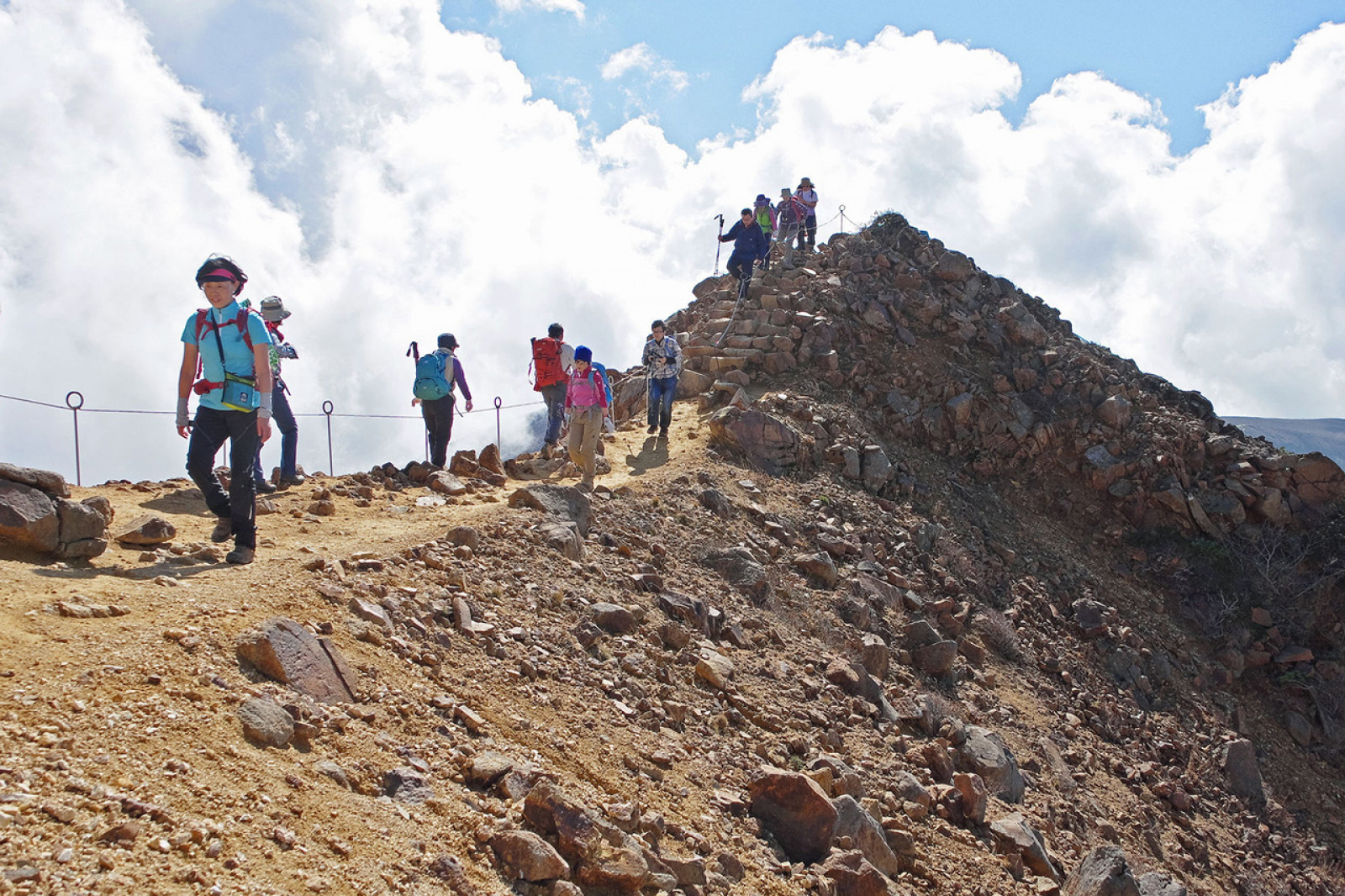 初めての登山講座裏高尾の梅鑑賞と高尾山ハイクe-moshicom イー・モシコム