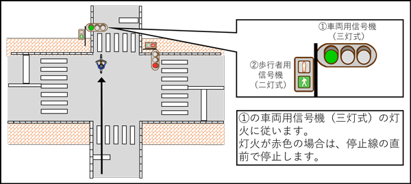 歩行者用信号機 自転車の信号の判断 歩行者用信号機と車両用