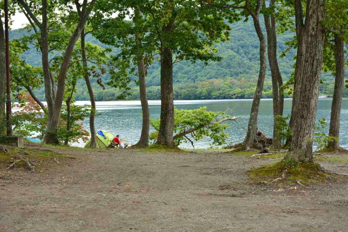 静岡県 田貫湖キャンプ場 東海地方の紅葉名所 - Feel
