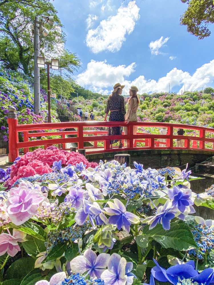 東海でおすすめのインスタ映えスポットランキング - TRIPROUD