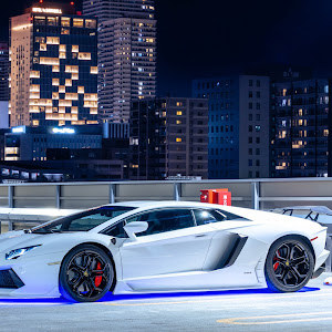 青空駐車にコーティングは必須？最適なコーティングとお手入れ方法 - トータルカービューティIIC