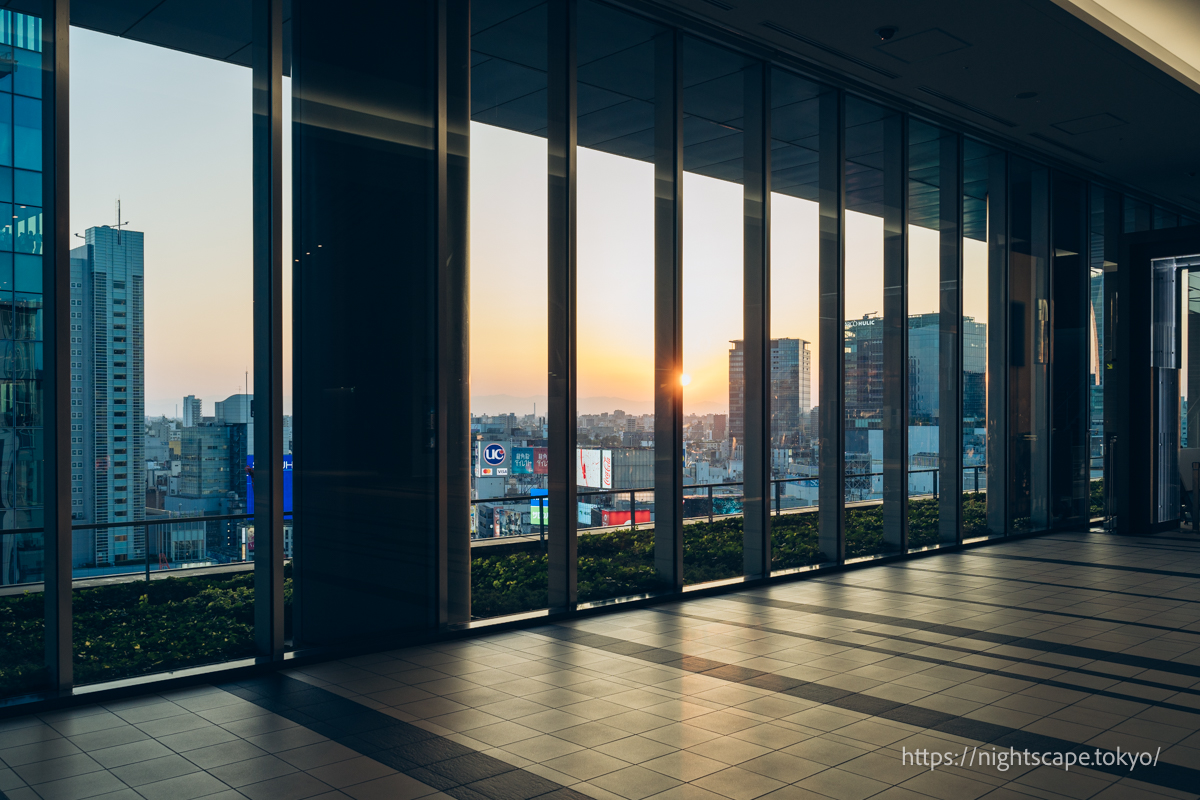 渋谷エリア最高の高さ230mの渋谷スクランブルスクエア！11月1日開業！全国の不動産投資・収益物件株式会社リタ不動産
