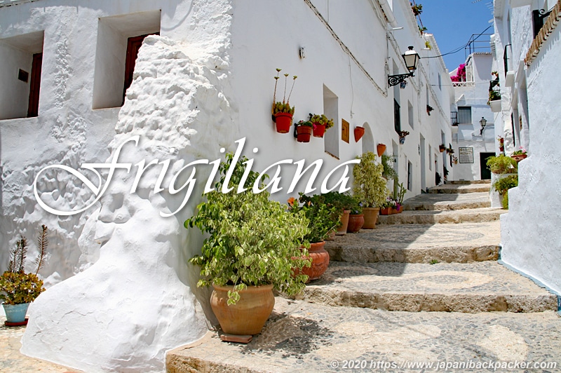 スペイン マラガから日帰りトリップ白い村ミハスへBecolog