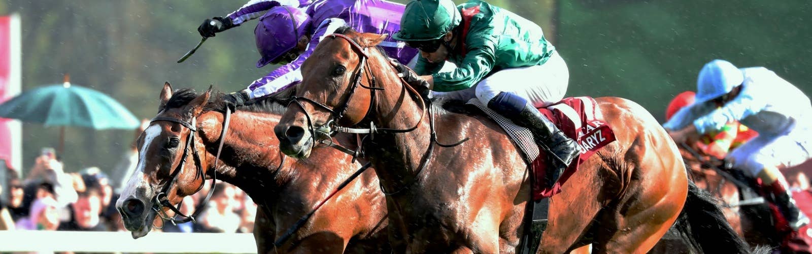 京都競馬場 ２０代の女性２人組「メチャメチャきれいになりましたね！」 -