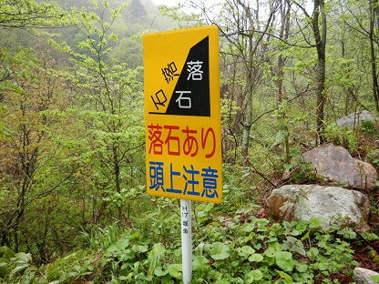 落石注意 - 小笠原の口コミ