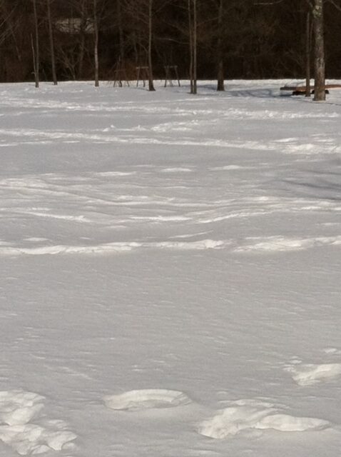 冬の軽井沢訪問 閑散とする旧軽銀座と２０年ぶりのスキー 』軽井沢 長野県 の旅行記・ブログ