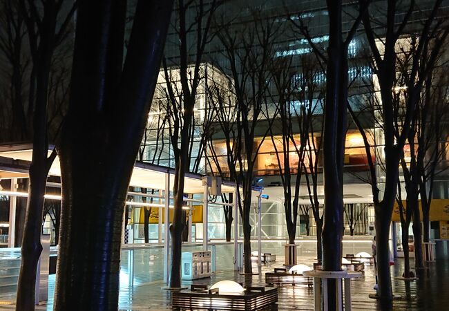 付帯駐車場の さいたまスーパーアリーナ駐車場 と