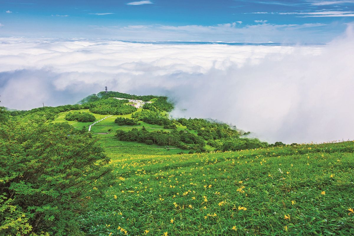 日光霧降カントリークラブ＿食事＿カツサンドへんてこえ日記