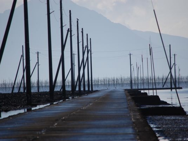 熊本・宇土 海に沈む電柱群と道？ 長部田海床路が誘う幻想世界