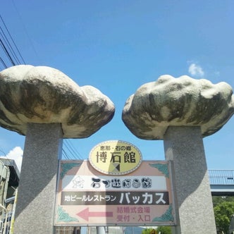 岐阜県博物館の恐竜や化石と岩石等・』 : 自然風の自然風だより