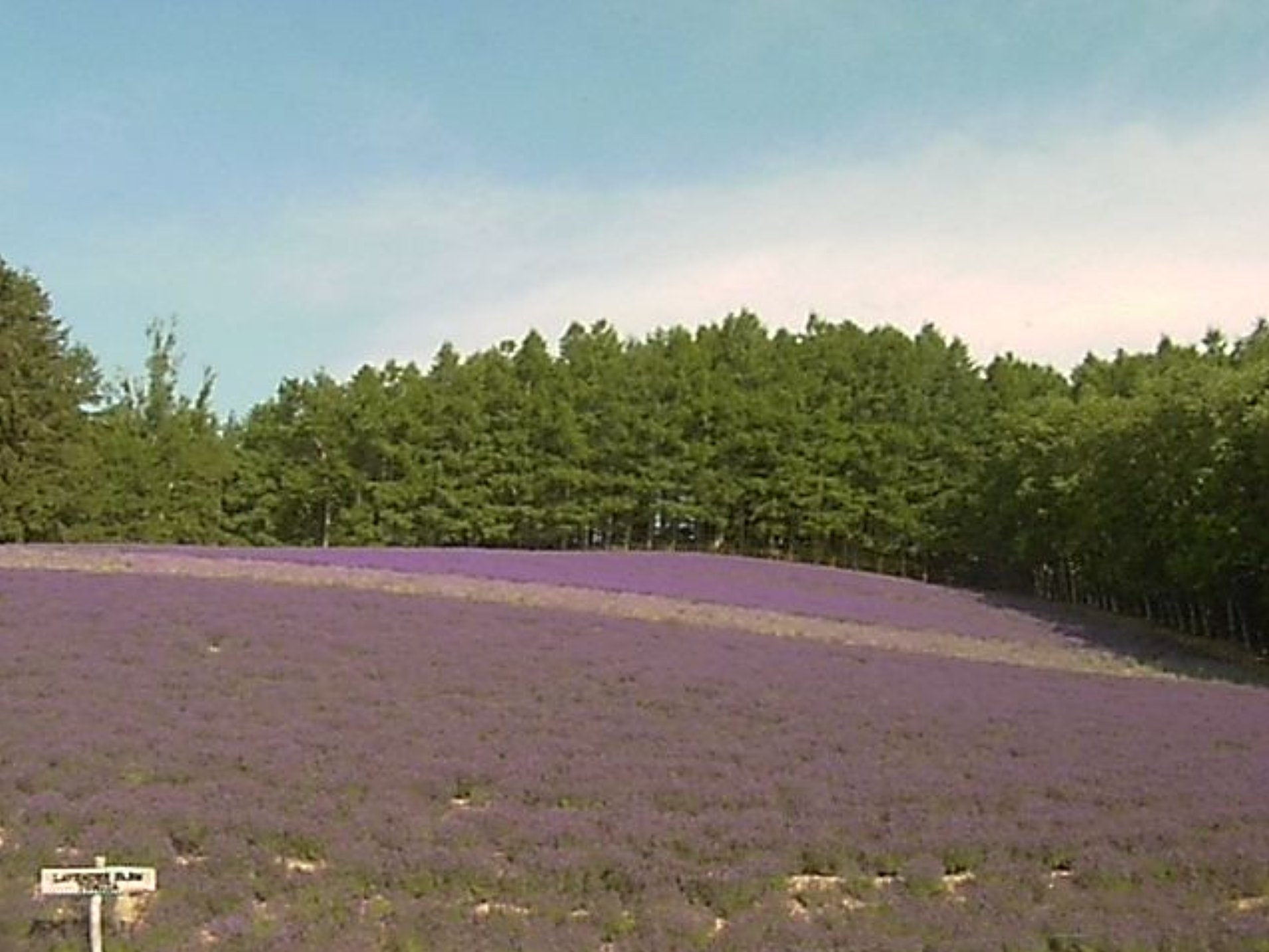 ライブカメラDB on X: