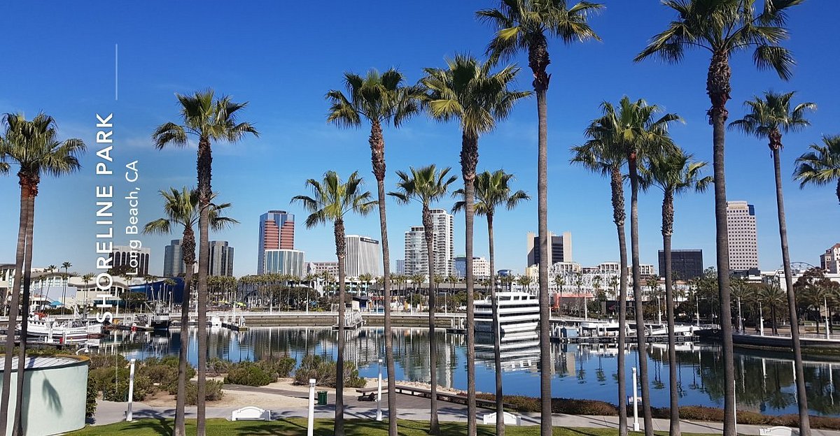 まさに夢のカリフォルニア！ロングビーチのおすすめ観光スポット5選 – skyticket