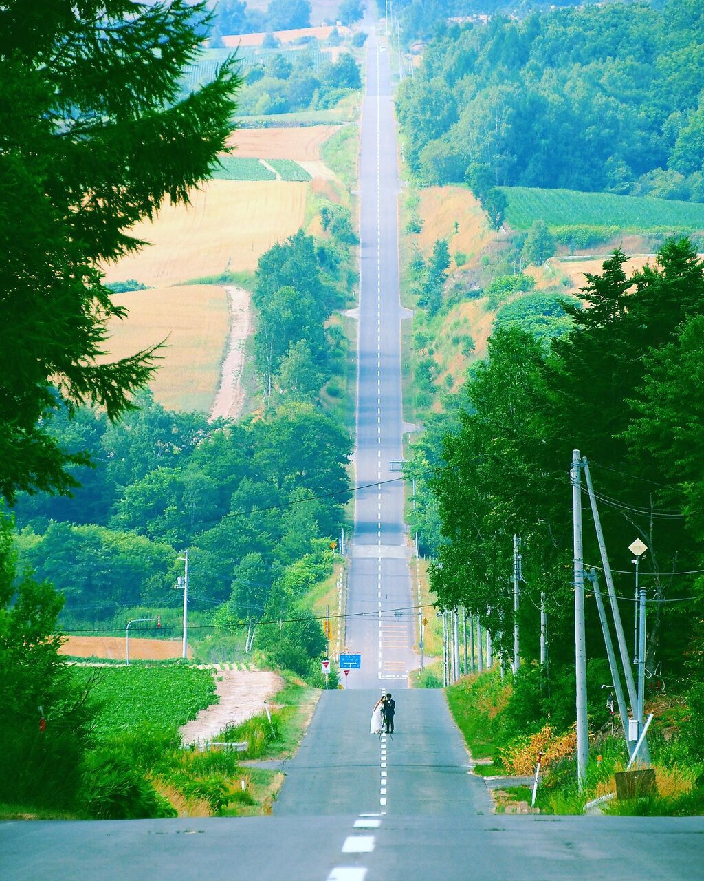 上富良野町 ジェットコースターの路旭川市