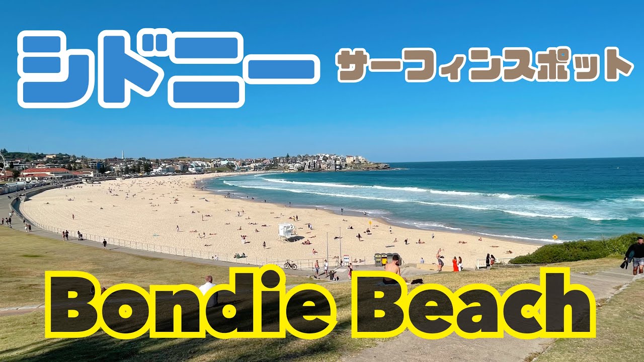 ボンダイ ビーチ アクセス・営業時間・基本情報ガイド