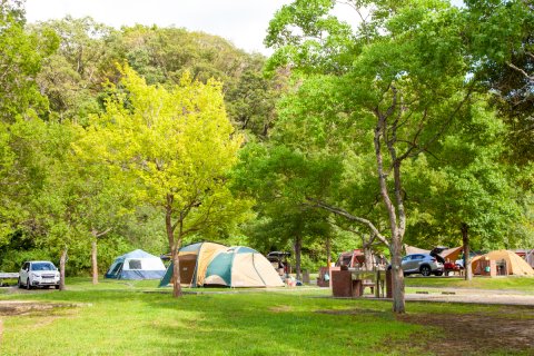 東京都 神戸園キャンプ場でキャンプと釣りを一気に楽しもう！都内で癒しのアウトドアTAKIBI タキビキャンプ ・グランピングなどアウトドアの総合情報サイト