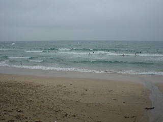 波情報 市後浜 2025 3 9