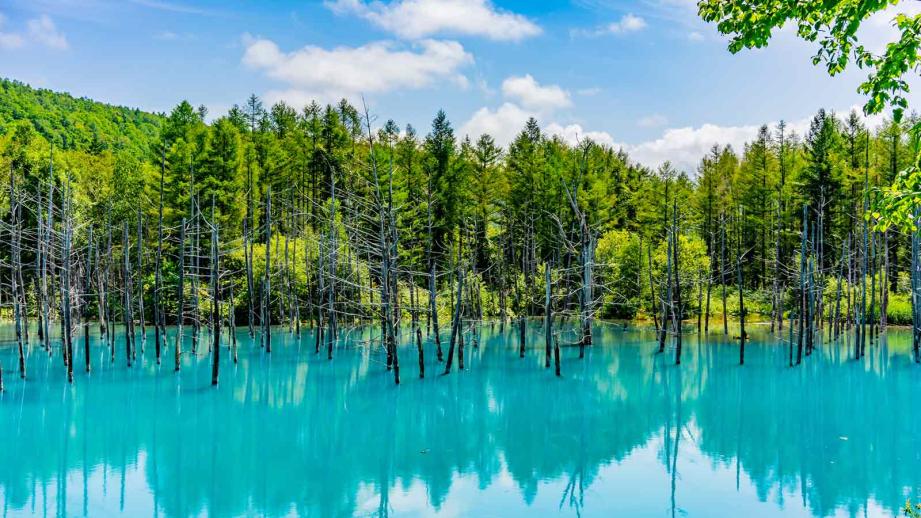 雲海☁️, ・, 2025.9.23,