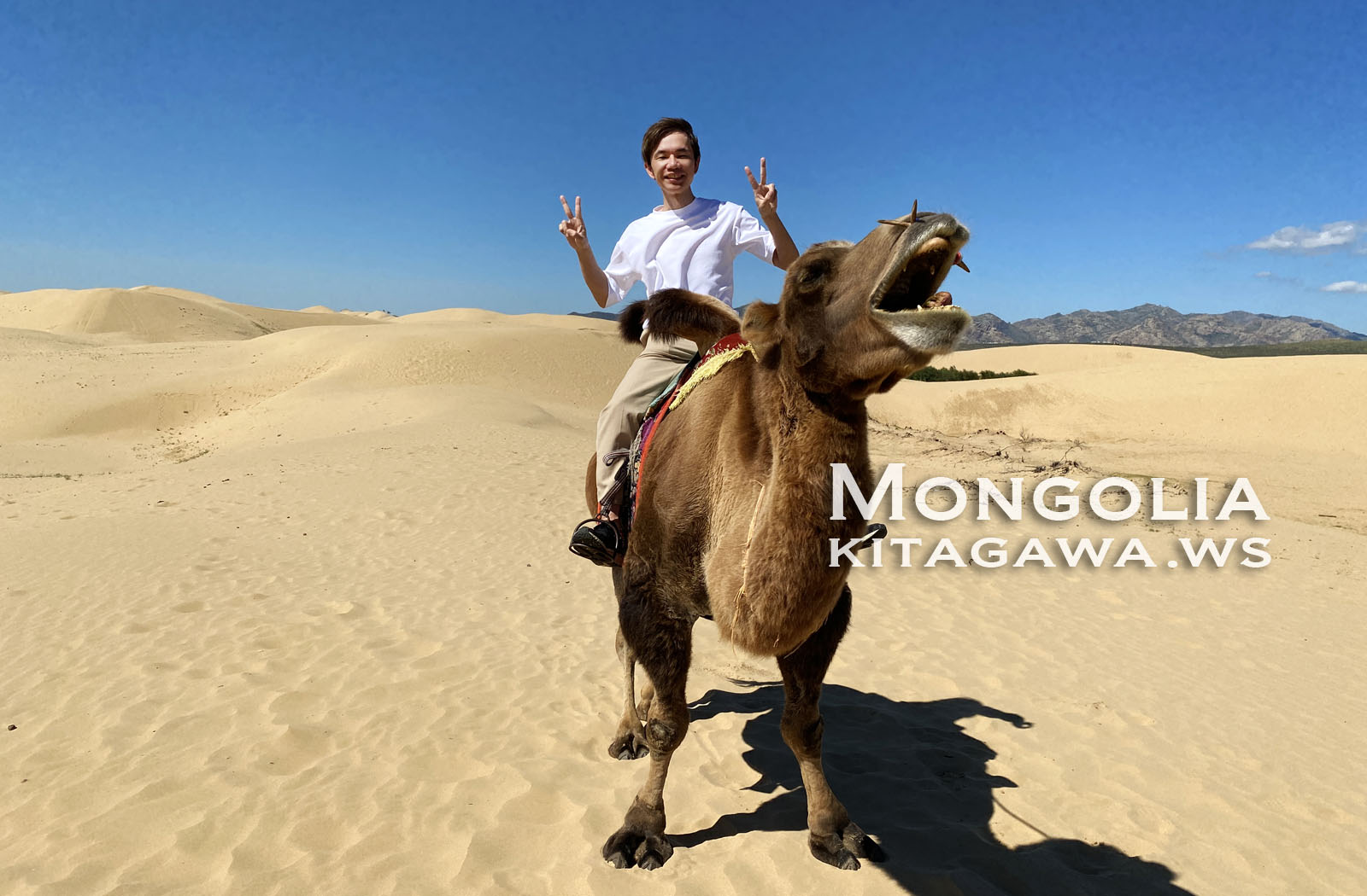 ゴビ砂漠の旅行記魂を揺さぶるモンゴルの壮大な自然と神秘の大地 - 地球人