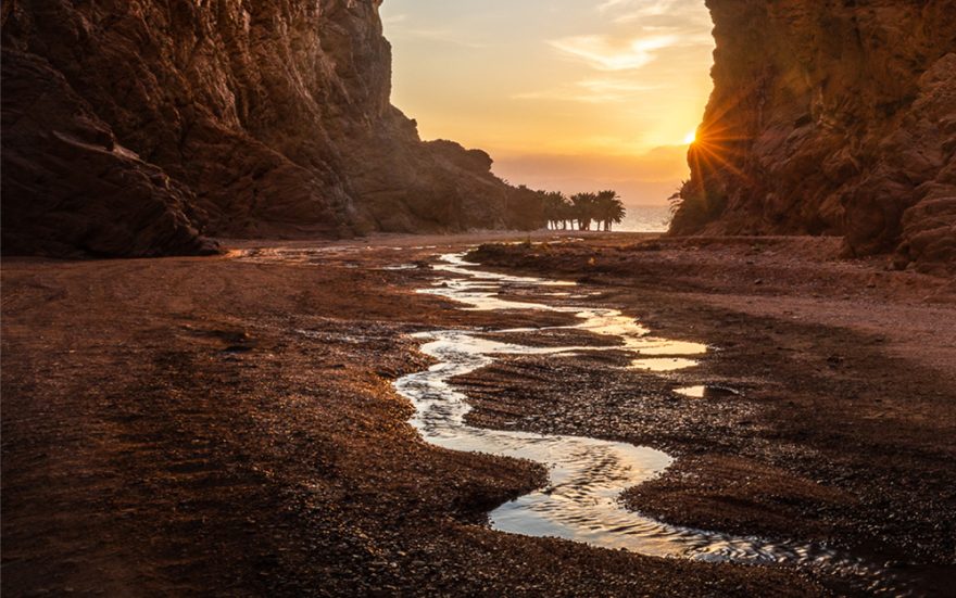 50点を超えるアカバ湾 イラストのストックフォト、写真、そしてロイヤリティフリーの画像 -