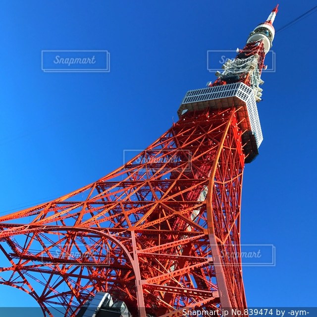 六本木からの東京タワー 夜間 の無料の写真素材