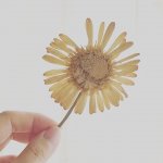 自己嫌悪の日々を乗り越えて。仕事×旅で地域を繋ぐ『おてつたび』創業秘話LOCAL LETTER