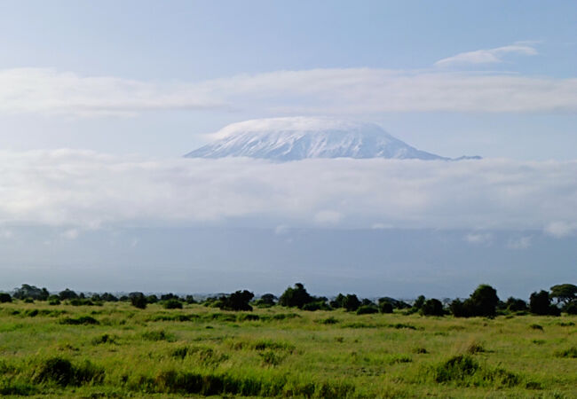 ケニアを旅する⑥ アンボセリ国立公園へ行こう！Part2 〜キリマンジャロ×動物の感動サファリツアー〜コジマ先生アフリカへ行く