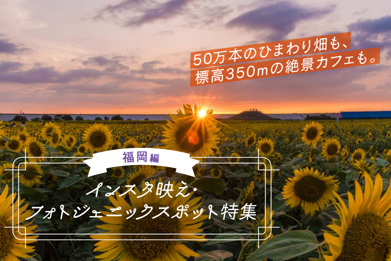 福岡絶景ドライブ！感動のインスタ映えスポットを巡る1泊2日モデルコース公式 福岡県の観光 旅行情報サイト「クロスロードふくおか」