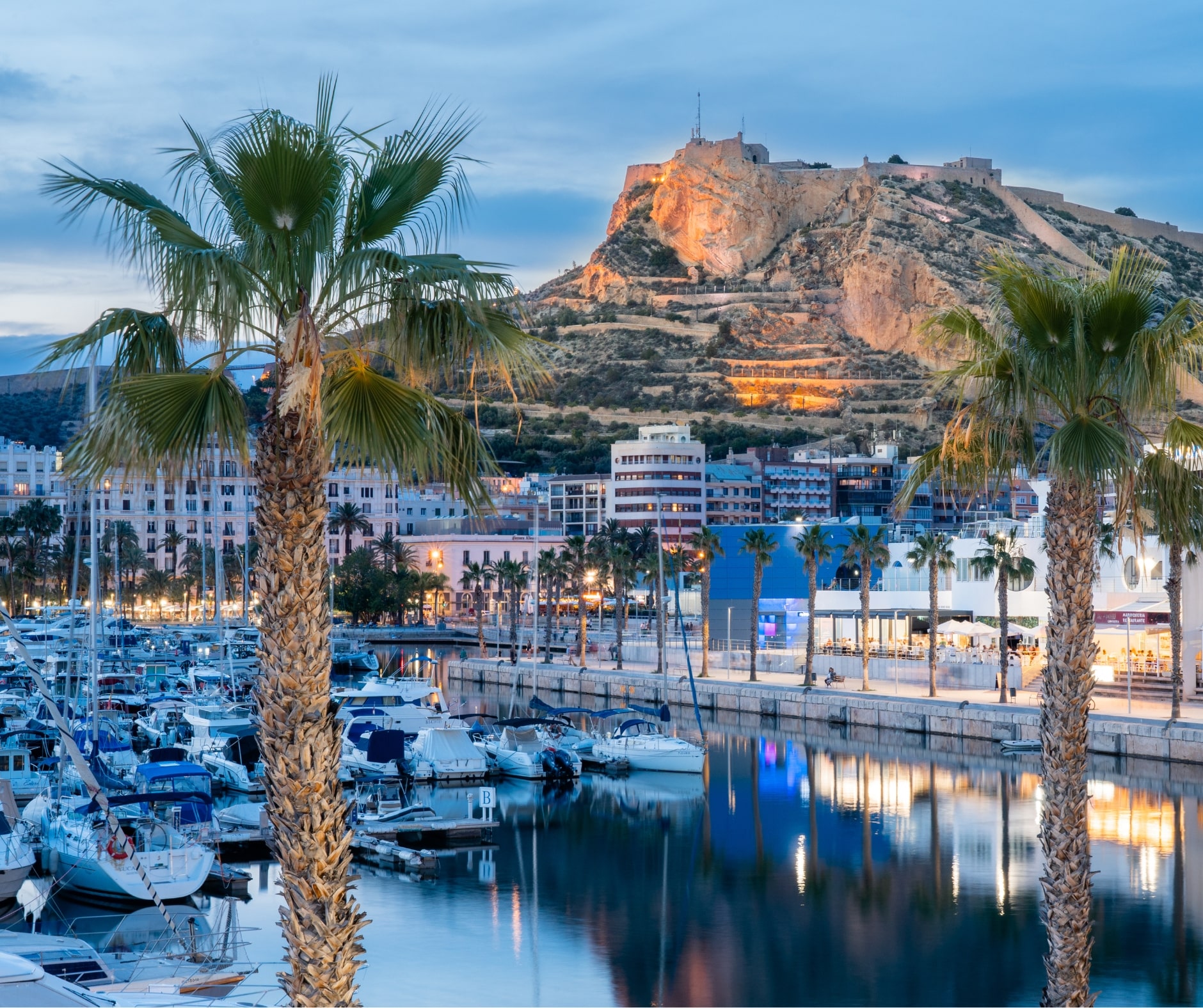 アリカンテでスペイン語を学ぼう - スペイン語コース