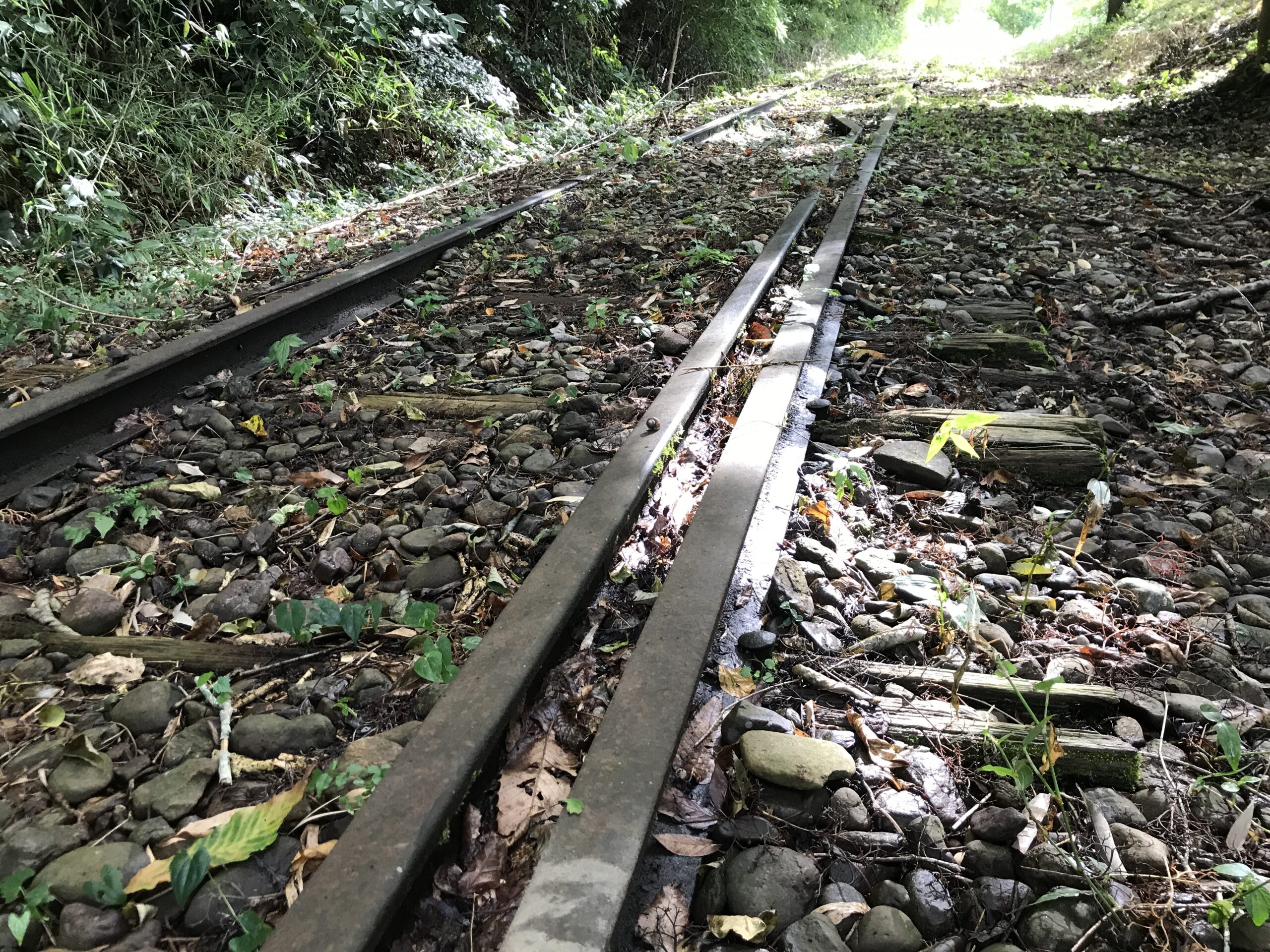 線路で写真が撮れる全国廃線跡７選 - トリップアドバイザ