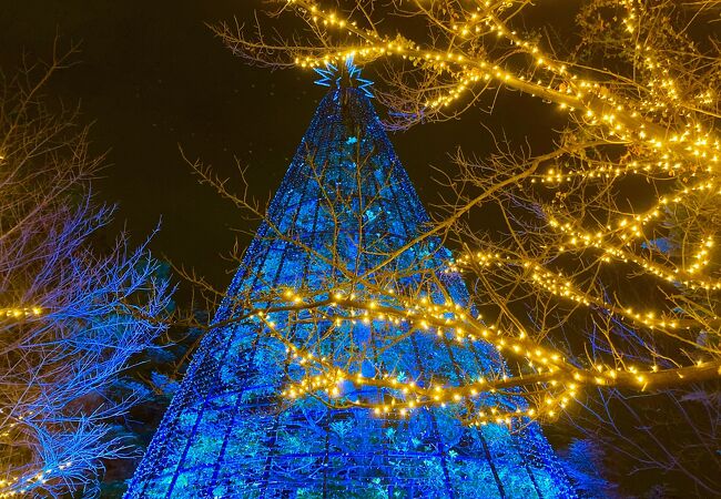 アクティブな冬デートを楽しむなら“お台場エンタメさんぽ”♡ - お散歩メディア