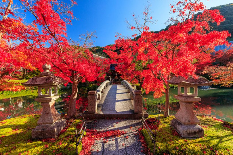 永観堂 禅林寺 の見どころ！紅葉に青もみじ拝観所要時間やアクセス京都・哲学の道界隈 地元民が名所旧跡・穴場スポットのご案内